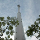 テレコミュニケーションのMonopole鋼鉄タワー ポーランド人は15メートル上塗を施してある粉にする