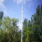 30m自己によって支えられるコミュニケーション アンテナ鉄塔