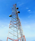 30メートルGSMのアンテナ擬似ヤシの木の携帯電話タワー