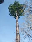 電気通信のヤシの木10mの高さのカムフラージュの細胞タワー