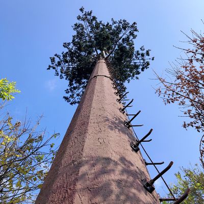 屋外のための30m/Sココヤシの木のカムフラージュの細胞タワー